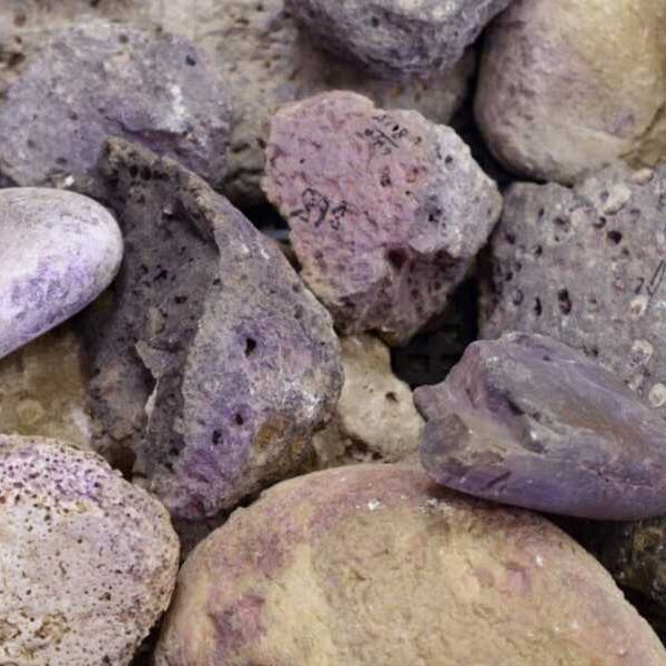 Ancient Tyrian Purple Dye Factory Found in Northern Israel