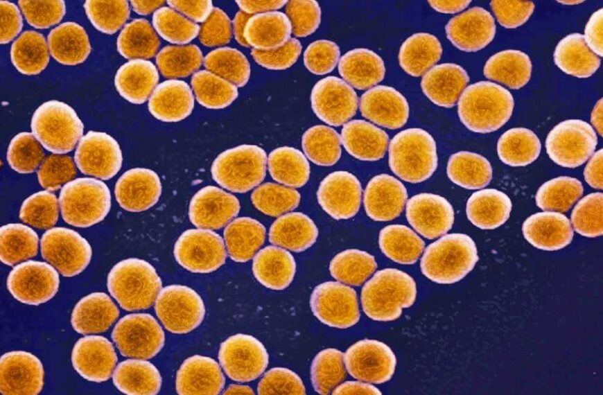 Superbugs are evolving inside the human body – tracking them in real&hellip;