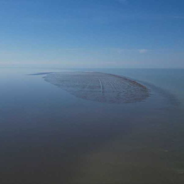 Russian scientists have discovered a new island in the Caspian Sea, the&hellip;