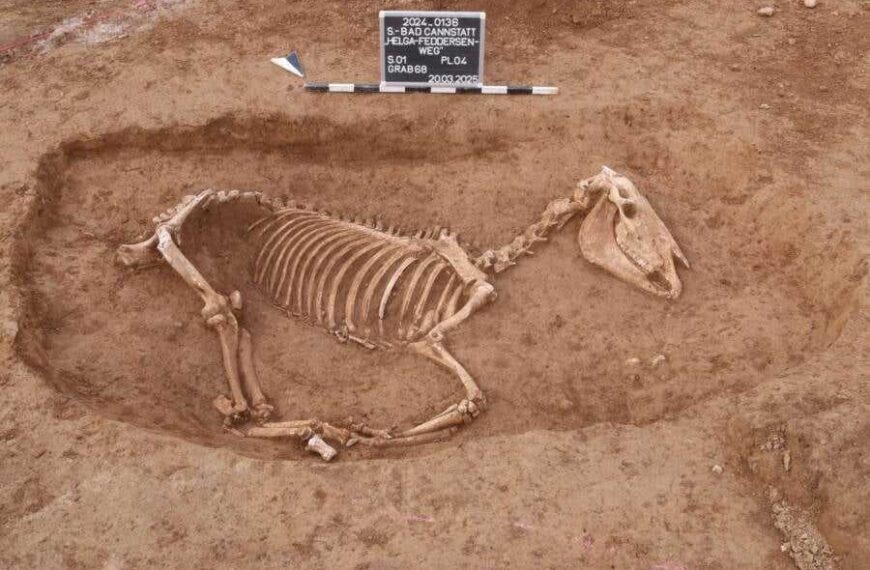 2nd Century Roman Horse Cemetery Discovered in Germany