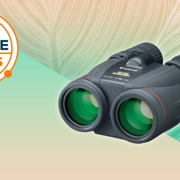 Celebrate Bird Day this Sunday with a huge discount on Canon binoculars&hellip;