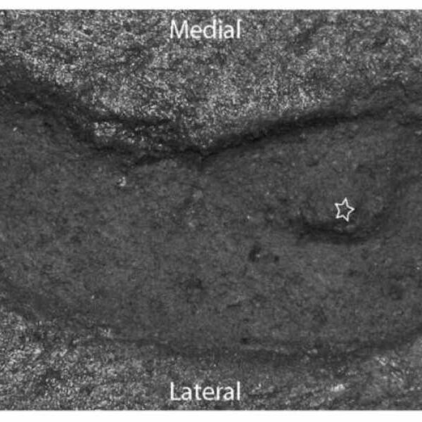 Scientists Discover Oldest Human Trace Found in America