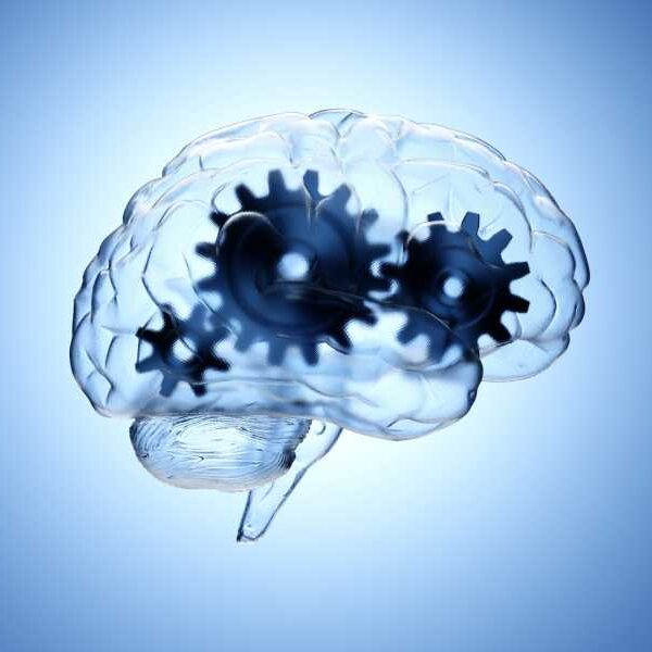 Scientists Say Evidence Against Free Will Is Misinterpreted