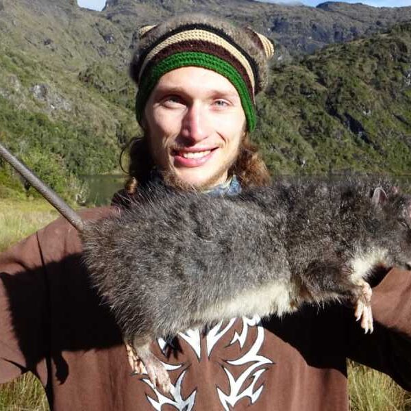 For the first time in history, a 33-inch long ‘woolly’ mountain rat&hellip;