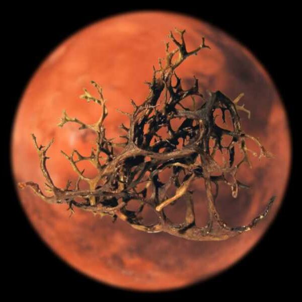 These Strange Hybrid Lifeforms From Earth Could Survive On Mars, New Research&hellip;