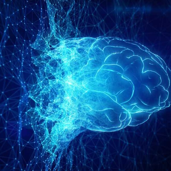 Scientists agree that existing models of artificial intelligence are a “dead end”…