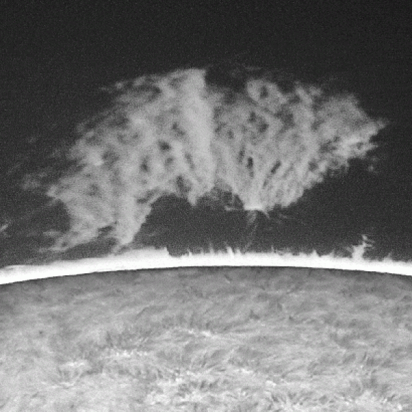 Behold the ‘Beast’: A giant animal-shaped plasma plume 13 times wider than&hellip;