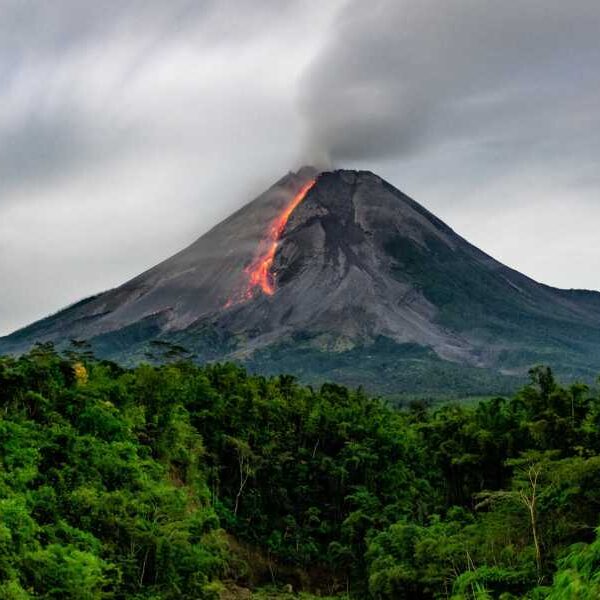 The closer a volcano is to an eruption, the greener the trees&hellip;