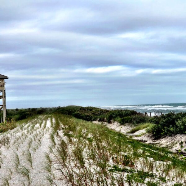 NASA Study Shows Surprising Rise in Sea Levels