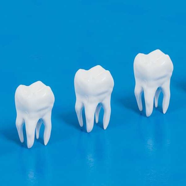 Lab-grown teeth could be an alternative to fillings and implants, scientists say