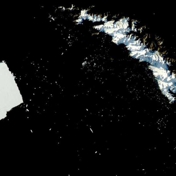 World’s Largest Iceberg, A23a, Breaks Up into Thousands of Pieces Near Penguin…