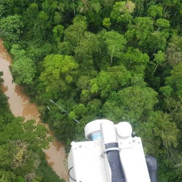 14th Century Amazonian Village Possibly Resembling Space Discovered
