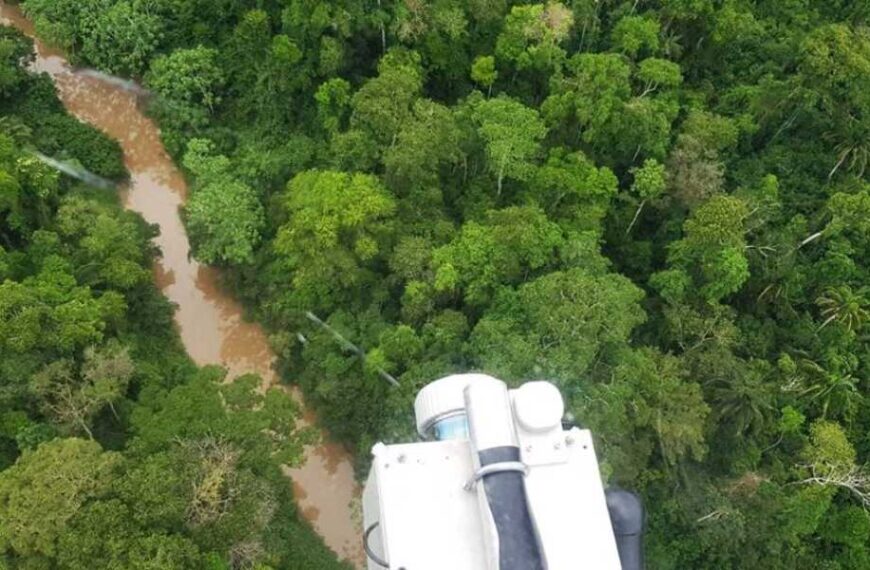 14th Century Amazonian Village Possibly Resembling Space Discovered
