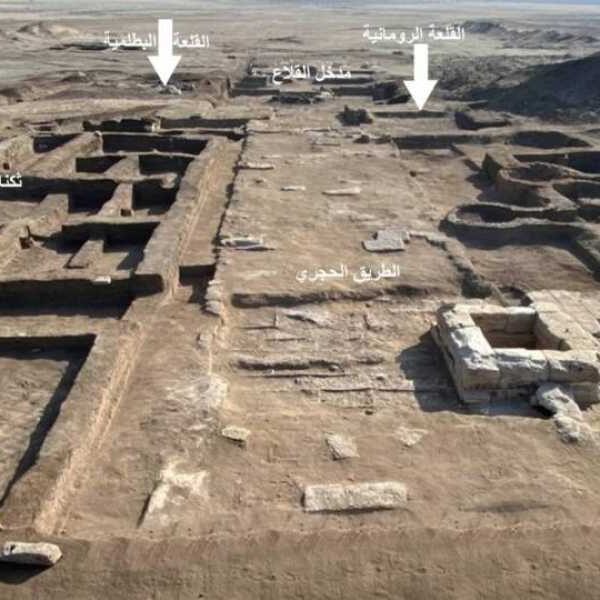Ruins of tree-lined path discovered in ancient Egyptian fortress