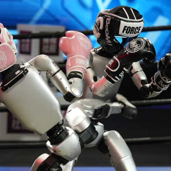 China pits rival humanoids against each other in world’s first ‘robot boxing&hellip;