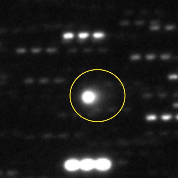 3I/ATLAS is 7 miles wide, making it the largest interstellar object ever&hellip;