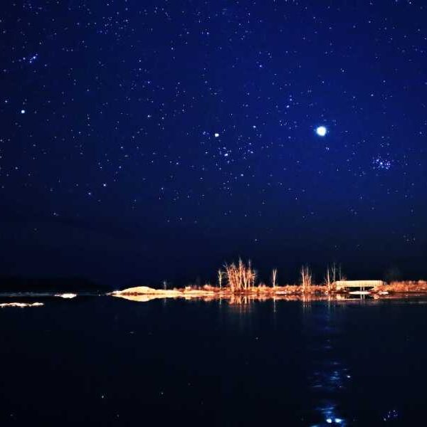 Venus at ‘brightest’: How to see our neighbouring planet at its best…