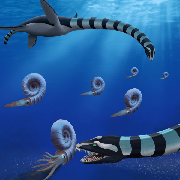 Giant Fossil of Mysterious 85-Million-Year-Old Sea Monster Finally Identified