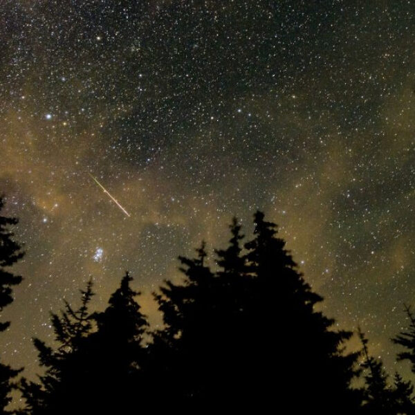 Shower Forecast: Lots of Meteors to Fill Night Sky Through 2025