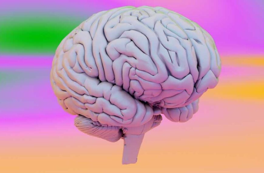 A surprisingly simple ‘dial’ in the brain can help it distinguish imagination…
