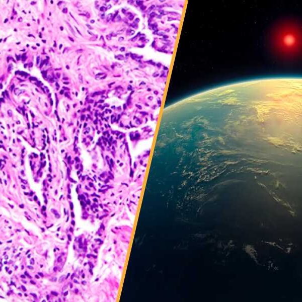 Science News This Week: Possible Signs of Life on Another Planet and…