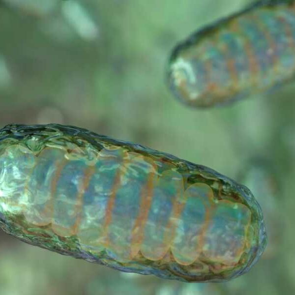 8 Babies Saved From Potentially Deadly Inherited Diseases Thanks to New ‘Mitochondrial…