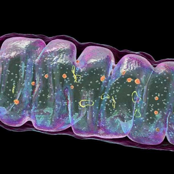 8-year-old with rare fatal disease shows dramatic improvement after experimental treatment