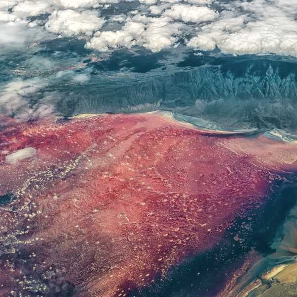 Lake Natron: Tanzania’s caustic blood-red lake that turns animals into ‘stone’