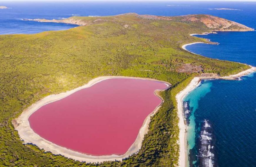 Australia’s pink lakes: the remains of ancient rivers that are now teeming…