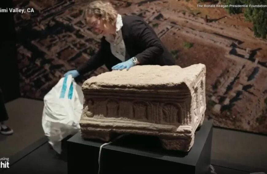 History books under threat as beetle infestation hits Hungarian monastery