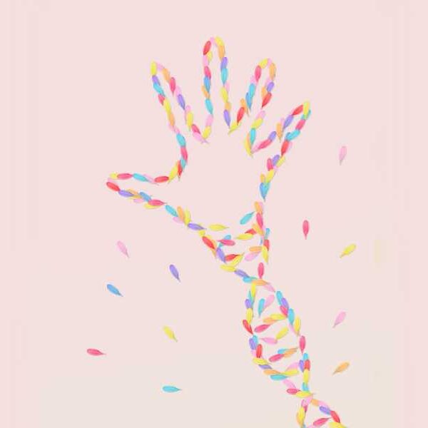 How much of your disease risk is determined by genetics? It’s complicated.