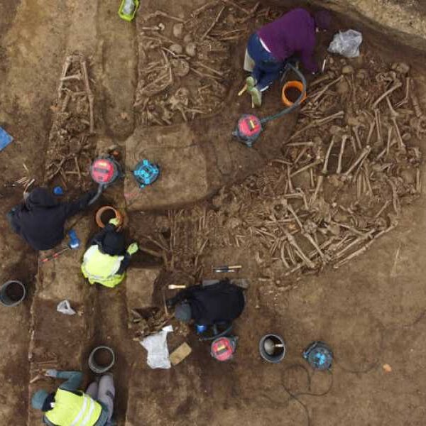 Mass grave of Roman soldiers discovered in Vienna