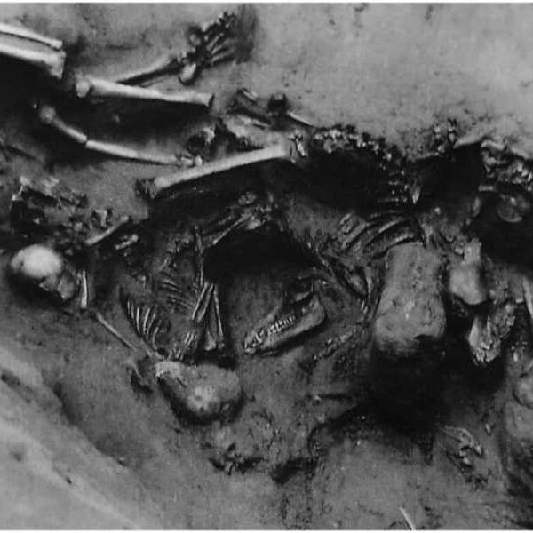 In ancient China, puppies were sacrificed to replace humans with a cheaper…
