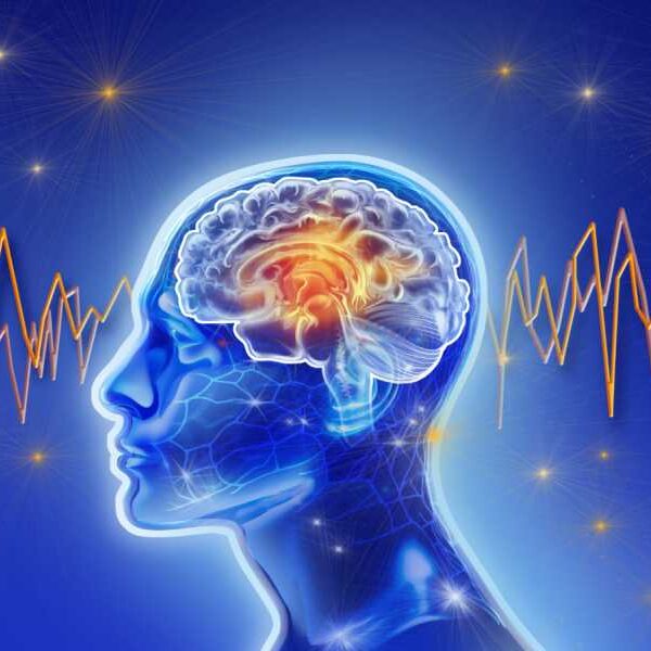 Why does your mind go ‘blank’? New brain scans give a surprising…