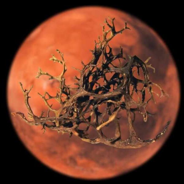 Life on Mars may survive—if you’re one of these weird hybrid life&hellip;