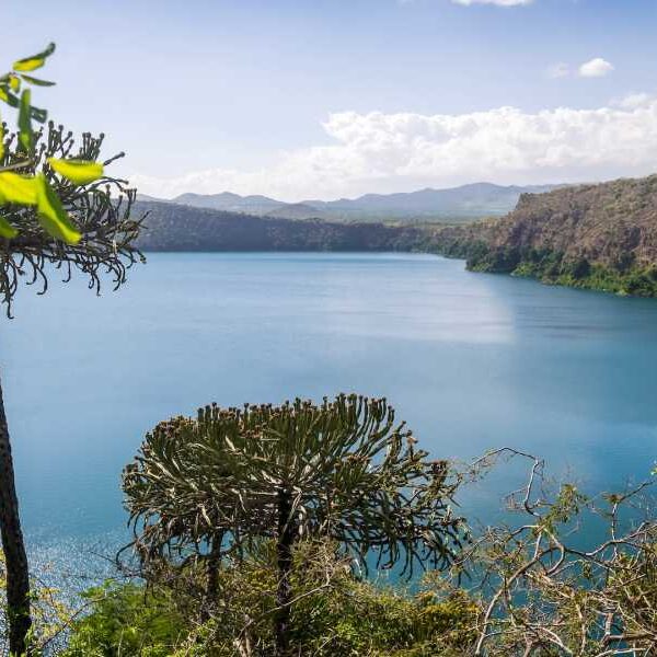 150,000-year history of Earth’s magnetic field reveals secrets of the climate that…