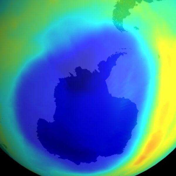 NASA Pioneer Stanley Sander Dies at 80