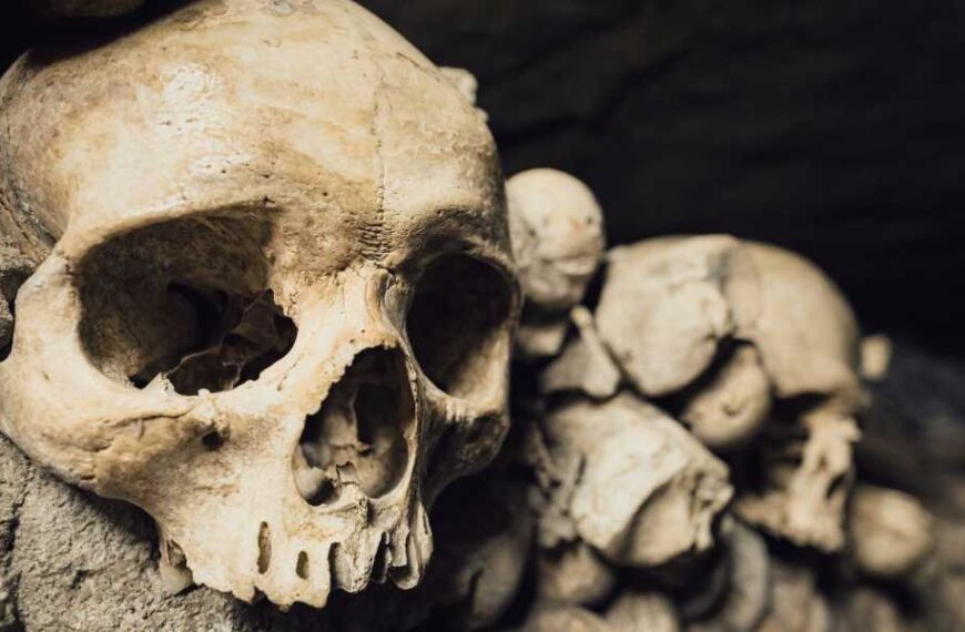 The earliest evidence of people catching diseases from animals dates back 6,500&hellip;