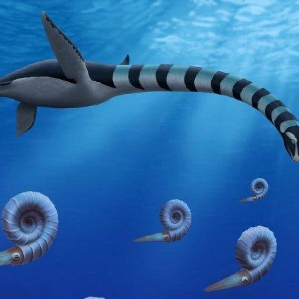 Newly identified prehistoric creature found in Canada hailed as ‘amazing beast’