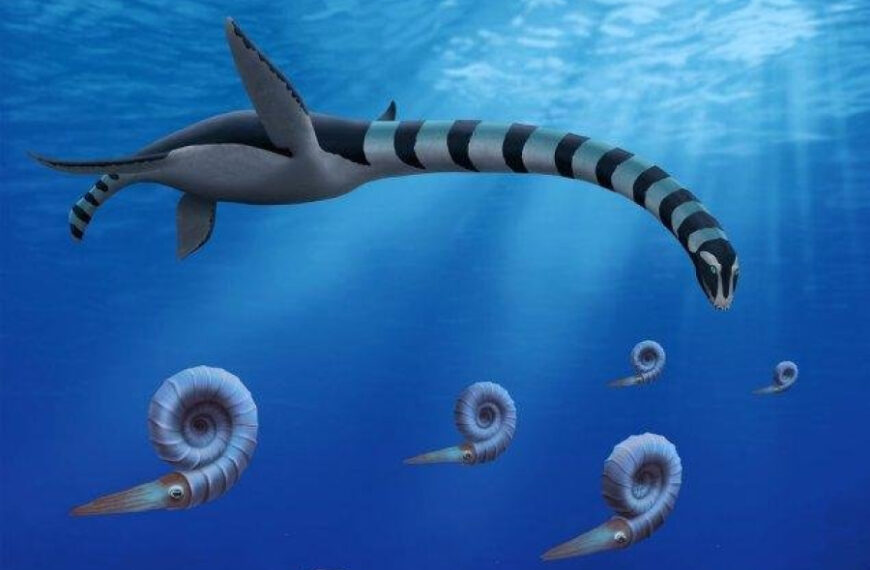 Newly identified prehistoric creature found in Canada hailed as ‘amazing beast’