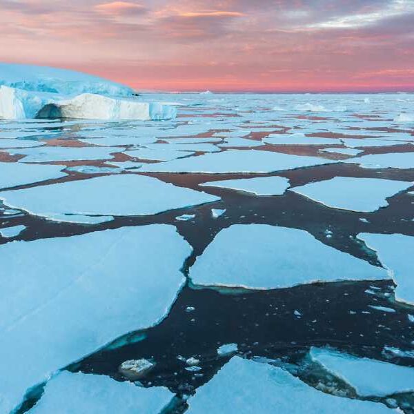 Antarctica’s Sea Ice Collapse Linked to Mysterious Ocean Salt Level Jump