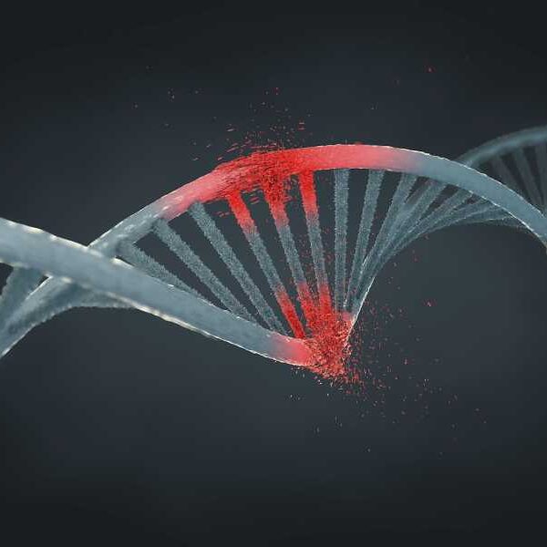 Werner syndrome: a rare inherited disorder that causes rapid, premature aging.