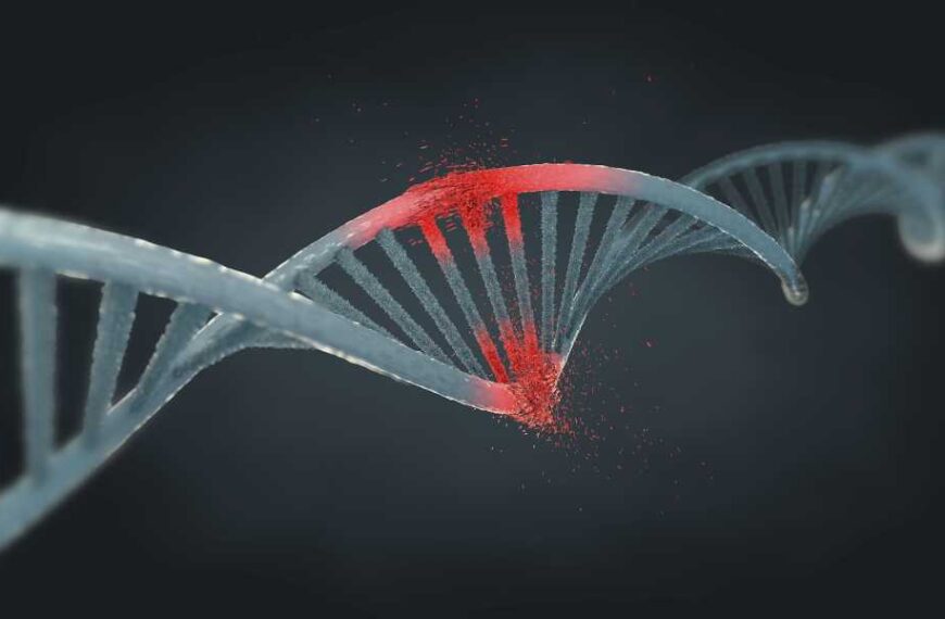 Werner syndrome: a rare inherited disorder that causes rapid, premature aging.