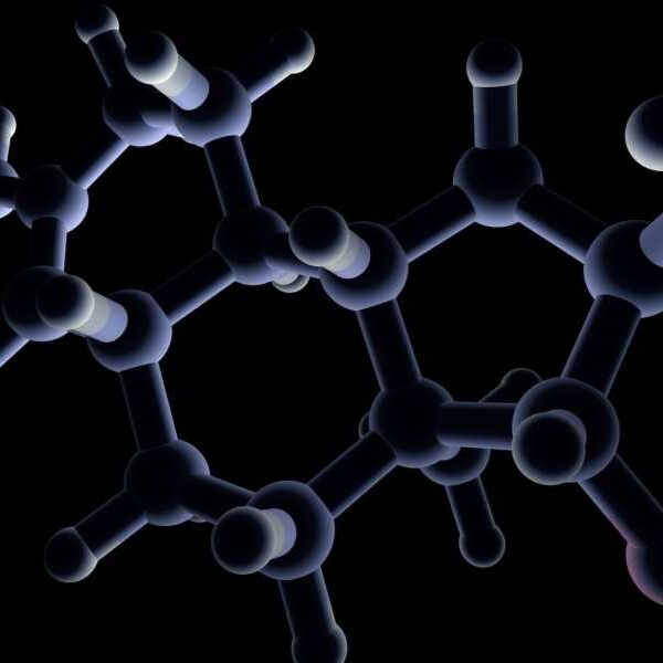 Estrogen May Stimulate the Body to Produce Opioids After Injury