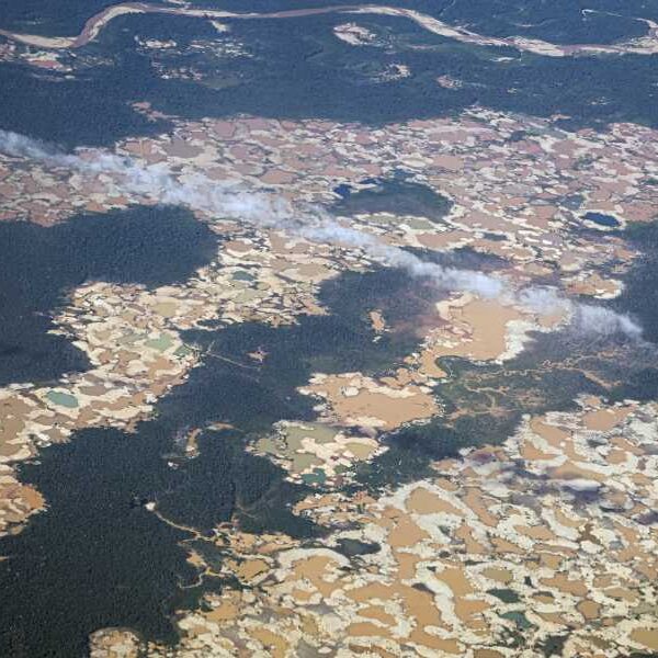 ‘It’s like trying to grow a tree in an oven’: Gold mining&hellip;