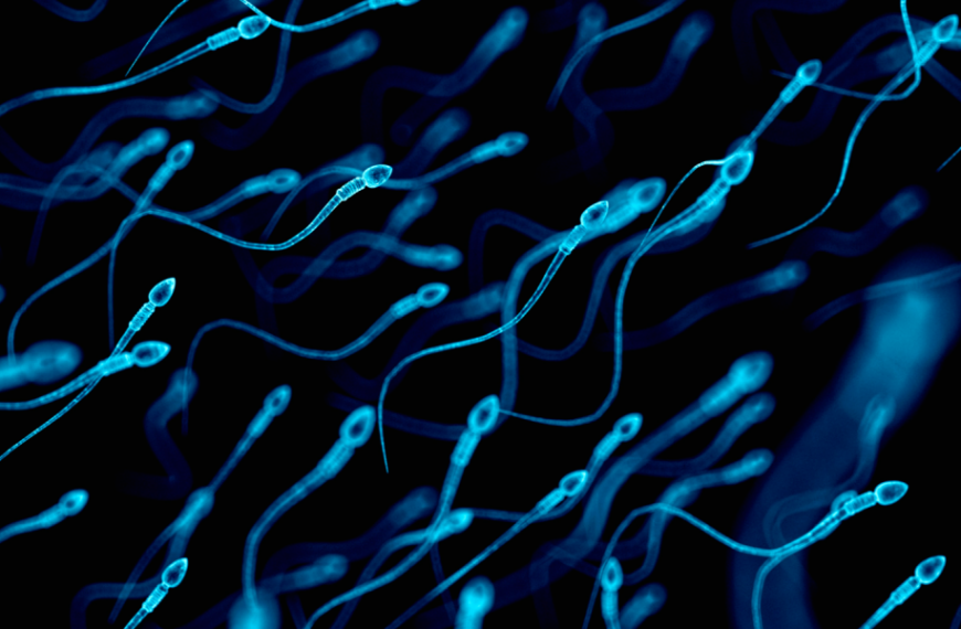 Diagnostic dilemma: Rare sperm allergy may have caused woman’s infertility
