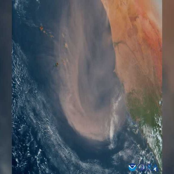 Giant plume of ‘Sahara dust’ swirls around Africa a week before reaching…