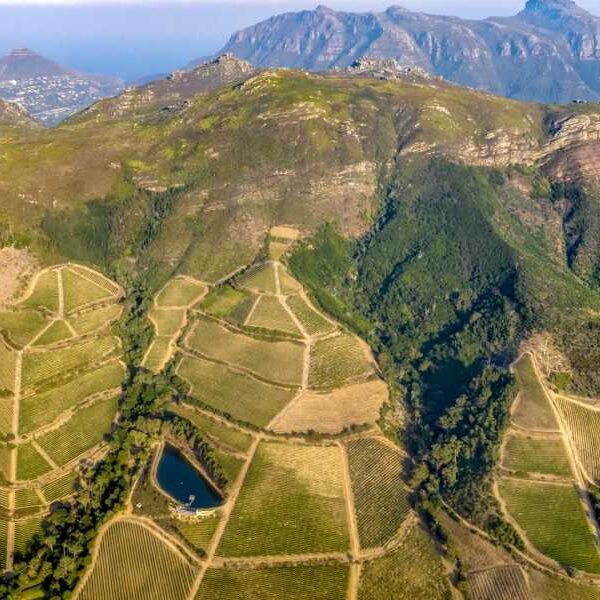 The land beneath South Africa is rising every year. We finally know&hellip;