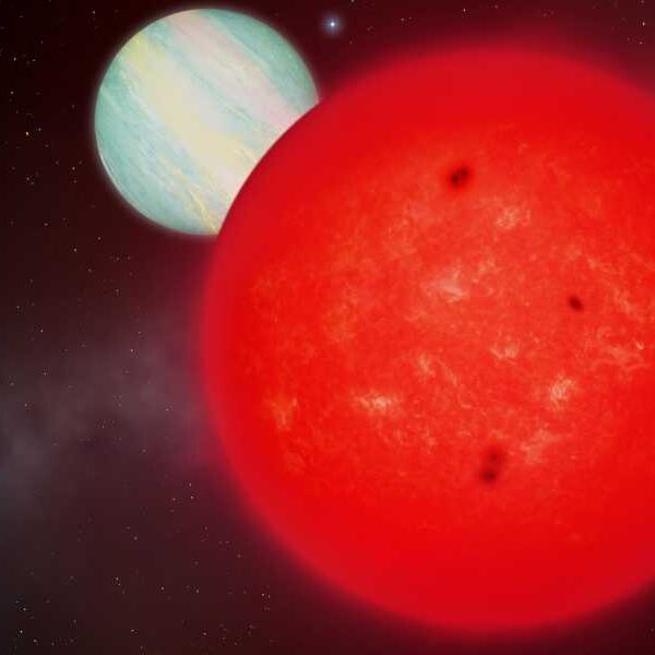 Huge planet discovered around tiny red star challenges our understanding of solar&hellip;