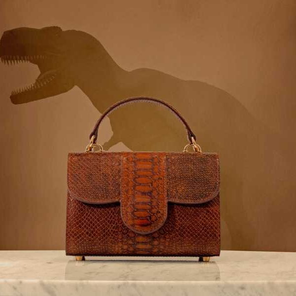 T. rex researchers refute ‘misleading’ dinosaur skin claim